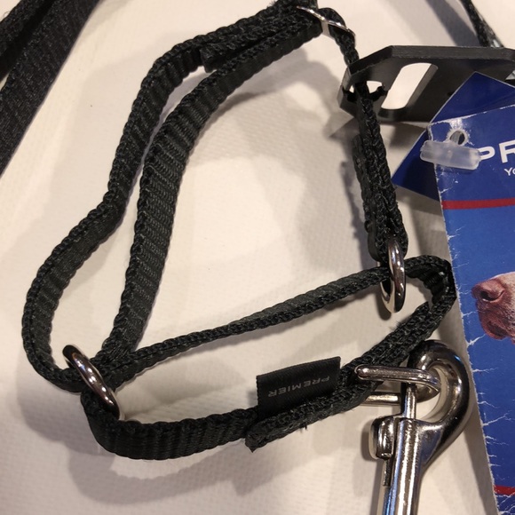 Premier Petite Collar & Leash - Picture 2 of 7